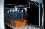 Food, Fruit, cherry, cherries, cherry washing machine, cherry washing machines, washing, washing cherries, fruit industry, machine, machines, water, fruit washing machine, fruit washing machines, washing machine, washing machines, Tasmania, Tassie, Tas, conveyer, conveyers, conveyer belt, conveyer belts.