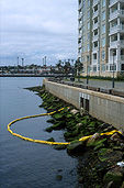 Australia, new South Wales, nsw, sydney, pollution, water, water pollution, pollute, pollutes, polluting, harbour, harbours, wall, walls, rock, rocks, skyscraper, skyscrapers, highrise, high-rise, high-rise building, high-rise buildings.