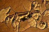 Australia, wa, western australia, climate, weather, drought, drought scene, drought scenes, disaster, disasters, natural, natural disaster, natural disasters, mud, dried mud, cracked mud, dried mud, crack, cracks, cracking, cracked, outback, australian outback, outback australia.