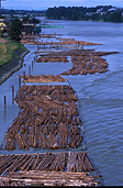 Canada, fraser, fraser river, river, rivers, log, logs, logging, logging industry, industry, canada, lumber, timber industry, logging industry, westminster, westminster log, westminster logs, tree, trees.