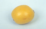 LOQUAT (ERIOBOTRYA JAPONICA)