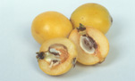 LOQUATS (ERIOBOTRYA JAPONICA)