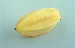 CARAMBOLA (STAR FRUIT) AVERRHOA CARAMBOLA