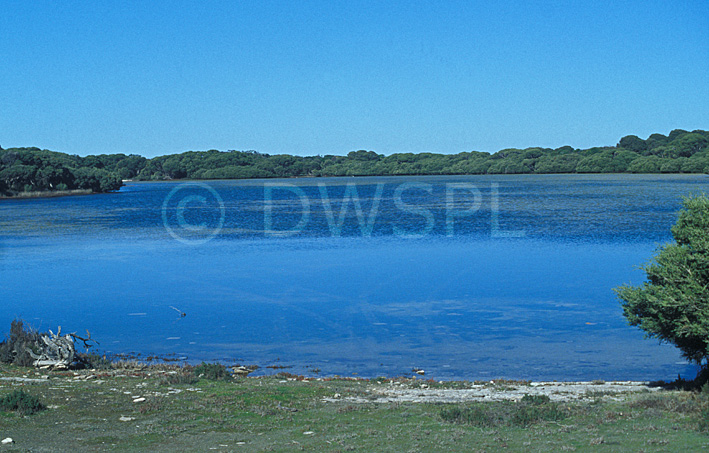 stock photo image: Australia, south australia, SA, National Park, National Parks, Coorong NP, coorong national park, coast, coasts, coastal, coastline, coastlines, sanctuary, sanctuaries, bird sanctuary, bird sanctuaries, young husband, young husband peninsula.