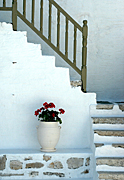 Greece, greek, greek islands, Europe, Southern Aegean, Southern Aegean region, santorini, Aegean, Aegean sea, cycladic, cycladic island, cyclades Islands, paros, pot, pots, potted, garden pot, garden pots, outdoor pot, outdoor pots, BS65,