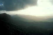 Australia, qld, queensland, springbrook, great dividing range, springbrook national park, springbrook NP, mt cougal, mount cougal, cougal, best of all lookout, National Park, National Parks, mountain, mountains, mountain range, mountain ranges, range, ranges, cloud, clouds, sky, skies, sky scenes, storm cloud, storm clouds.