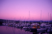 Australia, qld, queensland, port douglas, marina, marinas, yacht, yachts, mooring, moorings, moored yacht, moored yachts.