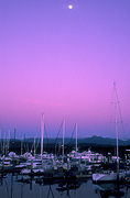 Australia, qld, queensland, port douglas, marina, marinas, moored boat, moored boats, moored yacht, moored yachts, mooring, moorings.