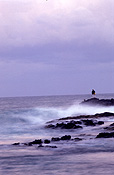 Australia, New South Wales, skennars, skennars head, fishing, rock fishing, rockfishing, beach fishing, coast, coastal, coastline, coastlines, wave, waves, sea.