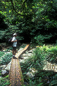 Australia, New South Wales, Washpool, Washpool NP, National Park, National Parks, Washpool national park, bushwalker, bushwalkers, bushwalking, rainforest, rainforests, forest, forests, people, man, men, male, males.