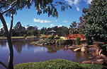 Australia, Qld, Queensland, toowoomba, great dividing range, garden, gardens, ju raku, ju raku en japanese garden, japanese garden, japanese gardens.