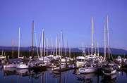 Australia, qld, queensland, port douglas, marina, marinas, yacht, yachts, mooring, moorings, moored yacht, moored yachts, moored boat, moored boats.