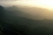 Australia, qld, queensland, springbrook, great dividing range, springbrook NP, springbrook national park, National Park, National Parks, mountain, mountains, range, ranges, mountain range, mountain ranges, best of all lookout, mt cougal, mount cougal, currumbin valley.