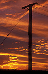 Pole, poles, utility pole, utility poles, telephone pole, telephone poles, power pole, power poles, power line, power lines, communicate, communicating, communication, electricity pole, telephone, telephones, electricity poles, telegraph pole, telegraph poles, telegraph line, telegraph lines, qld, queensland, childers, sunset, sunsets, sunrises and sunsets, mood, mood scene, mood scenes.