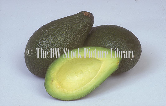 stock photo image: Food, Fruit, Avocado, avocados, avocadoes, ryan avocado, ryan avocados, ryan, persea, persea americana.