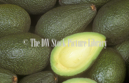 stock photo image: Food, Fruit, Avocado, avocados, avocadoes, ryan avocado, ryan avocados, ryan, persea, persea americana.