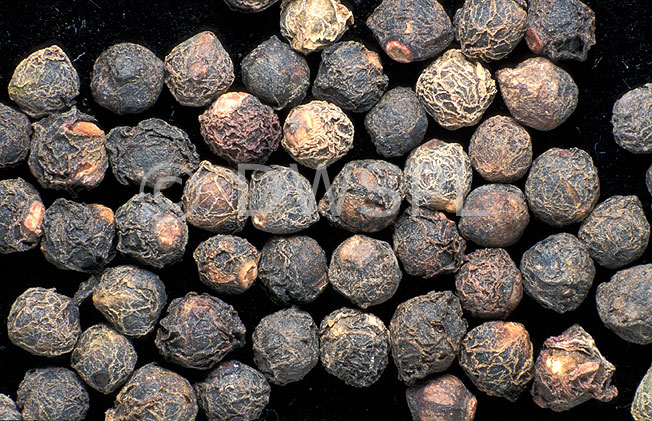 SEEDS OF MALABAR OR INDIAN