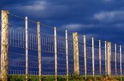 Australia, New South Wales, norfolk island, airport, airports, fence, fences, barbed wire, barbed wire fence, barbed wire fences.
