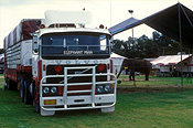 Australia, sa, south australia, adelaide, circus, circuses, entertainment, truck, trucks, number, numbers, number plate, number plates, license plate, license plates, licence plate, licence plates, rego, rego number, rego numbers, registration number, registration numbers, heavy vehicle, heavy vehicles, elephant man, sign, signs, tent, tents.