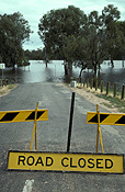 Australia, flood, floods, flooding, flooded, water, disasters, road, roads, sealed, sealed road, sealed roads, sign, signs, barricade, barricades, barricading, roadblock, roadblock, roadblocks, road block, road blocks.