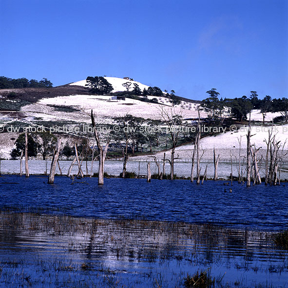 stock photo image: Australia, vic, victoria, snow, snow scene, snow scenes, flood, floods, flooded, flooding, mount buninyong, buninyong, mt buninyong, ballarat, water, mountain, mountains, winter, hill, hills, volcano, volcanoes, tree, trees, water, lake, lakes.