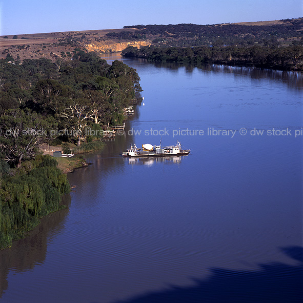 RIVER MURRAY FERRY CROSSING AT WALKER FLAT IN SOUTH AUSTRALIA