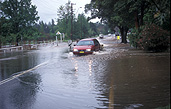 Australia, new South Wales, nsw, flood, floods, flooding, flooded, car, cars, vehicle, vehicles, motor vehicle, motor vehicles, disaster, disasters, natural, natural disaster, natural disasters, road, roads, sealed, sealed road, sealed roads, flooded road, flooded roads, water.