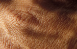 Australia, hand, hands, human hand, human hands, skin, human skin.
