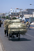 Asian, South east Asian, southeast asia, vietnam, phan tiet, road, roads, sealed, sealed road, sealed roads, transport, transportation, vehicle, vehicles.