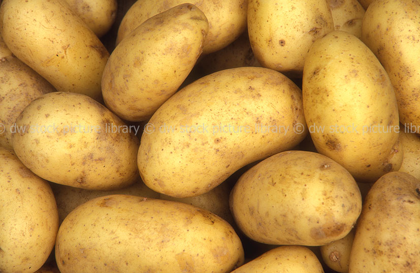 stock photo image: Vegetable, vegetables, potato, potatoes, charlotte, charlotte potato, charlotte potatoes, solanum, tuberosum, solanum tuberosum.