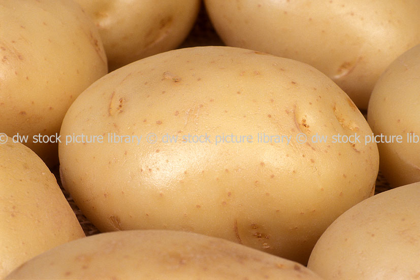 stock photo image: Vegetable, vegetables, potato, potatoes, solanum, tuberosum, solanum tuberosum, coliban, coliban potato, coliban potatoes.