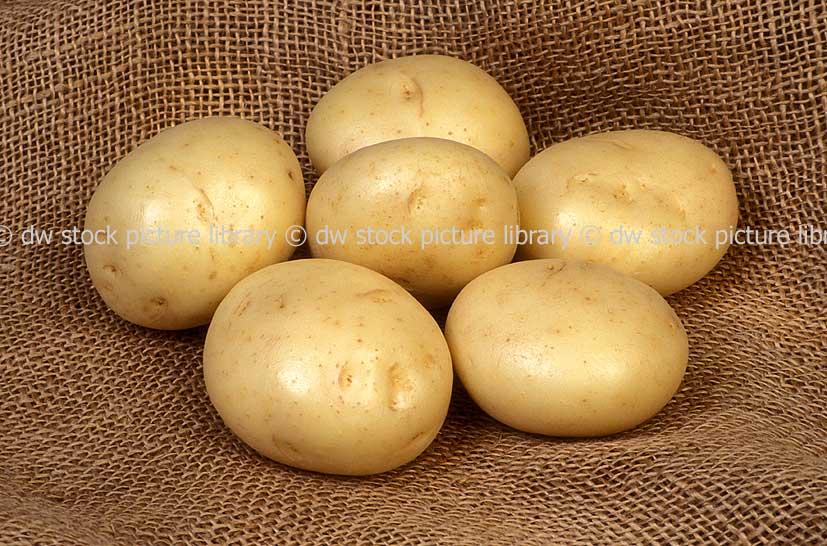 stock photo image: Vegetable, vegetables, potato, potatoes, solanum, tuberosum, solanum tuberosum, coliban, coliban potato, coliban potatoes.