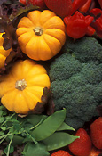 MIXED VEGETABLES INCLUDING PUMPKINS (CUCURBITA) BROCCOLI, AND SNOWPEAS