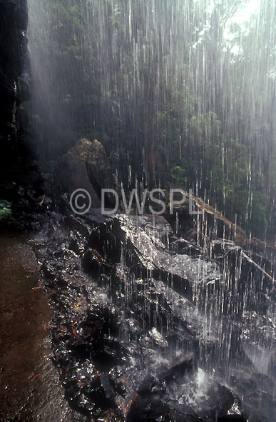 stock photo image: Australia, qld, queensland, springbrook, great dividing range, springbrook national park, springbrook NP, National Park, National Parks, blackfellows falls, waterfall, waterfalls, water, running water.