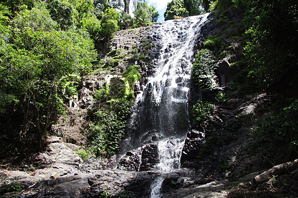 stock photo image: Australia, New South Wales, Dorrigo, Dorrigo NP, Dorrigo national park, national park, national parks, forest, forests, rainforest, rainforests, waterfall, waterfalls, tristan, tristan falls, water.