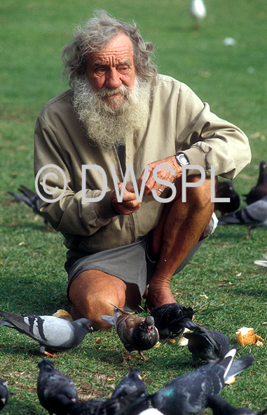 stock photo image: People, man, men, male, males, homeless, homeless people, homeless man, homeless men, derelict, derelicts, australia, sydney, nsw, new South Wales, bird, birds, pigeon, pigeons, beard, beards, park, parks.