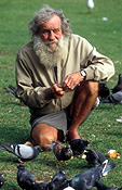 People, man, men, male, males, homeless, homeless people, homeless man, homeless men, derelict, derelicts, australia, sydney, nsw, new South Wales, bird, birds, pigeon, pigeons, beard, beards, park, parks.