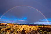 Climate, rainbow, rainbows, weather, australia.
