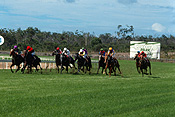 Sport pictures, Sports, animal, animals, horse, horses, race, races, racing, horserace, horseraces, horseracing, horse race, horse races, horse racing, jockey, jockeys, uniform, uniforms, australia, caloudra, qld, queensland, corbould, corbould park, race track, race tracks, people, man, men, mle, males.