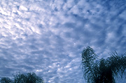Australia, Atmosphere, Meteorology, climate, weather, cloud, clouds, sky, skies, sky scenes, sky, skies, sky scenes, australia, sa, south australia.