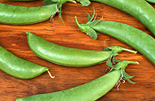 SUGAR SNAP PEAS (PISUM SATIVUM)