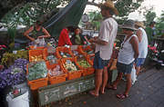 Australia, qld, queensland, eumundi, eumundi market, eumundi markets, market, markets, stall, stalls, market stall, market stalls, people, man, men, male, males, woman, women, female, females, shopping, vegetable, vegetable, vegetable market, vegetable markets.