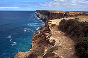 Australia, western Australia, WA, Nullarbor, Nullarbor plains, cliff, cliffs, coast, coasts, coastline, coastlines, great australian bight, southern ocean, ocean, oceans, sea, seas, seascape, seascapes.