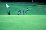 Sport pictures, Sports, golf, golf game, golf games, golf course, golf courses, people, men, man, male, outdoors, queensland, qld, australia.