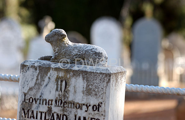 cult of the lamb natural burial