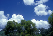 Atmosphere, Meteorology, climate, weather, cloud, clouds, sky, skies, sky scenes, sky, skies, sky scenes, blue sky, blue skies, sky, skies.