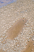 Australia, sa, south australia, drought, drought scene, drought scenes, creek, creeks, mud, dried mud, crack, cracks, cracked, desert, deserts.