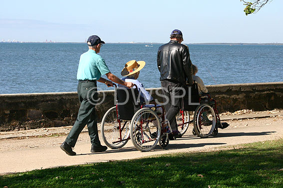 stock photo image: Australia, people, disabled, disabled people, handicapped, handicapped people, man, men, male, males, wheelchair, wheelchairs.