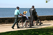 Australia, people, disabled, disabled people, handicapped, handicapped people, man, men, male, males, wheelchair, wheelchairs.