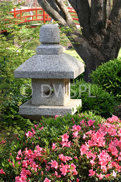 stock photo image: Australia, Qld, Queensland, toowoomba, great dividing range, garden, gardens, ju raku, ju raku en japanese garden, japanese garden, japanese gardens, pagoda, pagodas, bush, bushes.